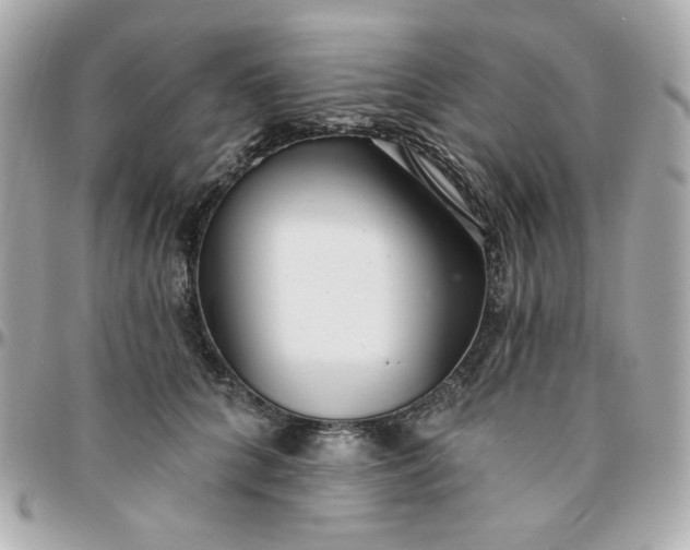 X0000096210704200802011321