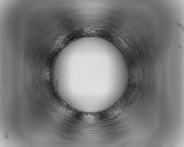 X0000096210706200802011321