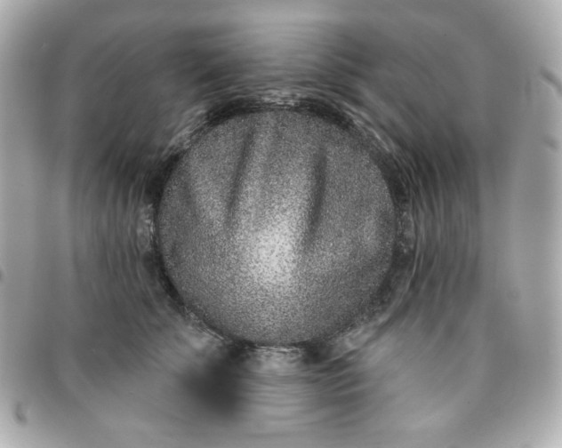 X0000096210707200802011321