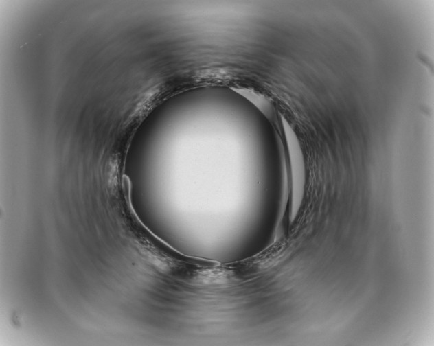 X0000096210708200802011321