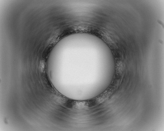 X0000096210709200802011321