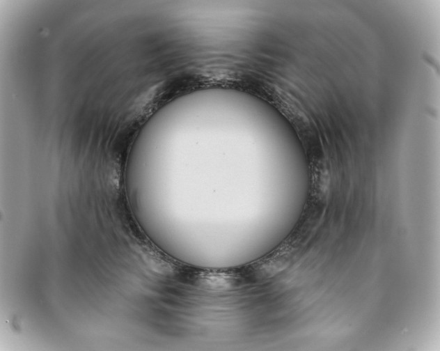 X0000096210710200802011321