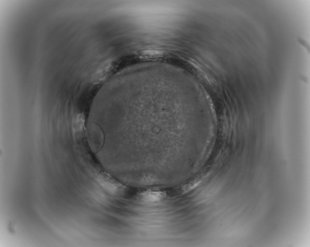 X0000096210711200802011321