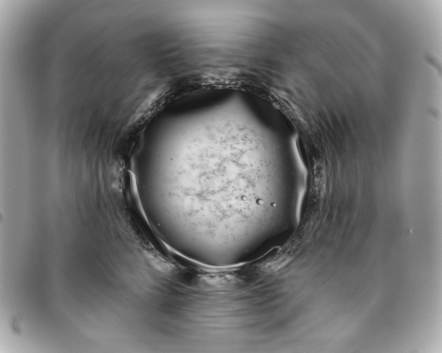 X0000096210712200802011321