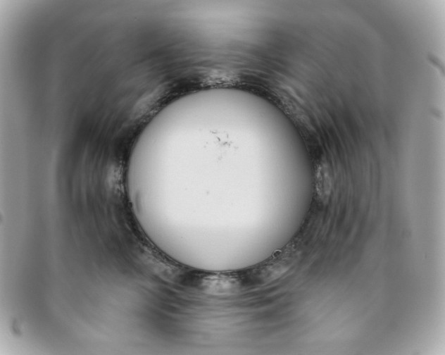 X0000096210714200802011321