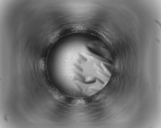 X0000096210715200802011321