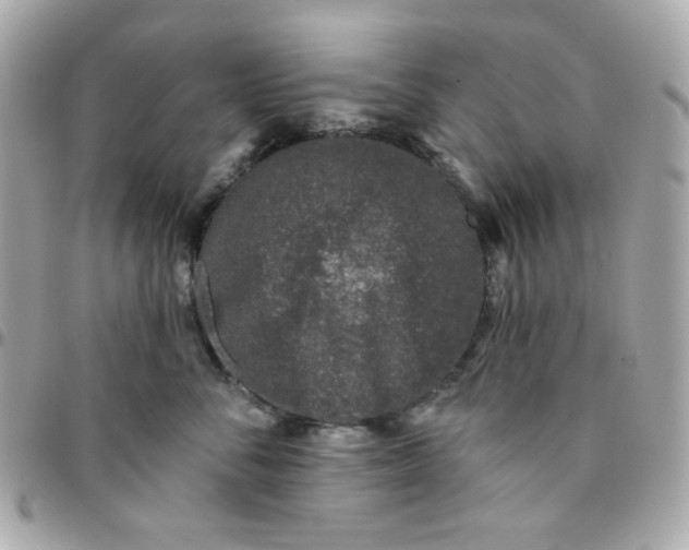 X0000096210716200802011321