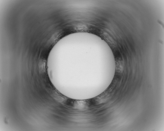 X0000096210717200802011321