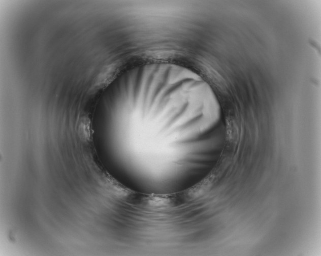 X0000096210718200802011321