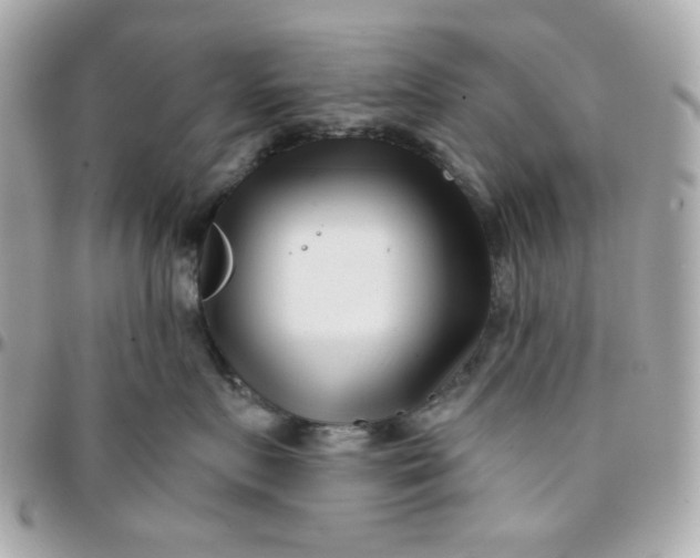 X0000096210719200802011321