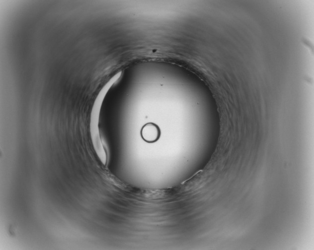 X0000096210720200802011321