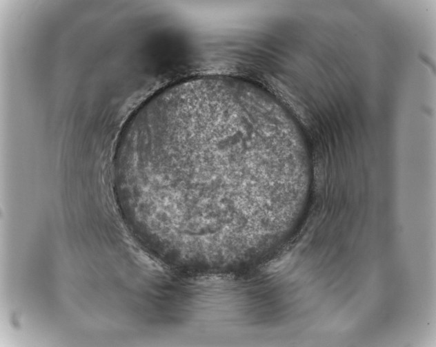 X0000096210721200802011320