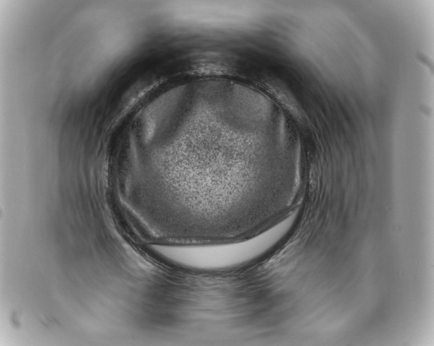 X0000096210722200802011320