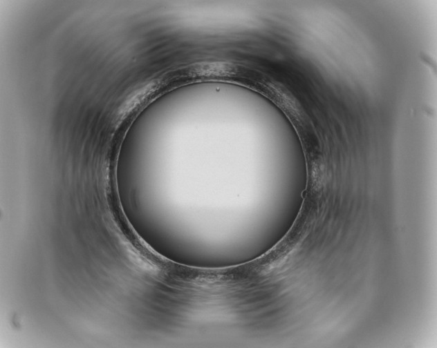 X0000096210725200802011320