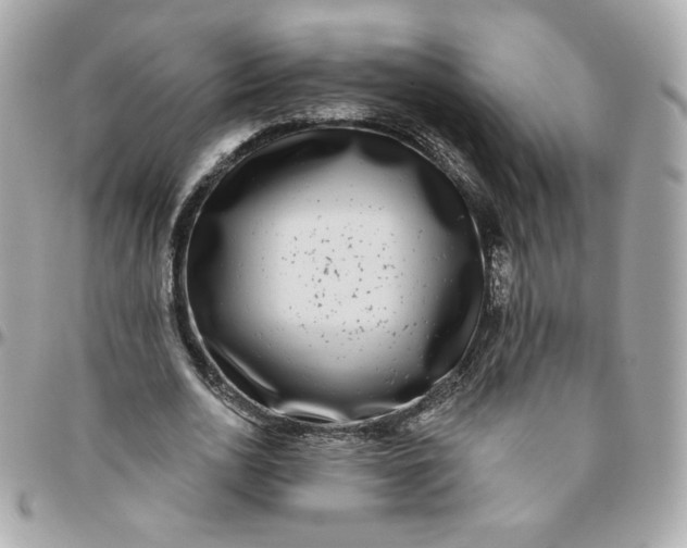 X0000096210726200802011320