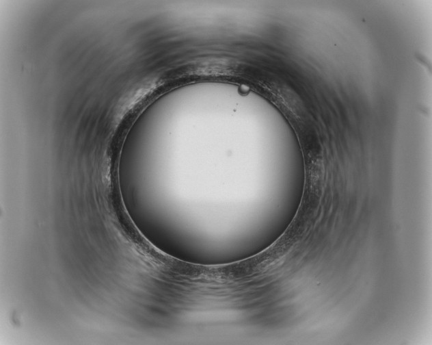 X0000096210727200802011320