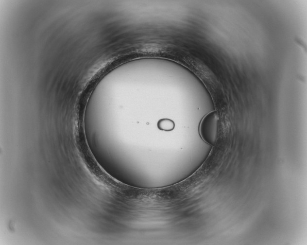 X0000096210728200802011320