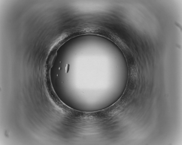 X0000096210730200802011320