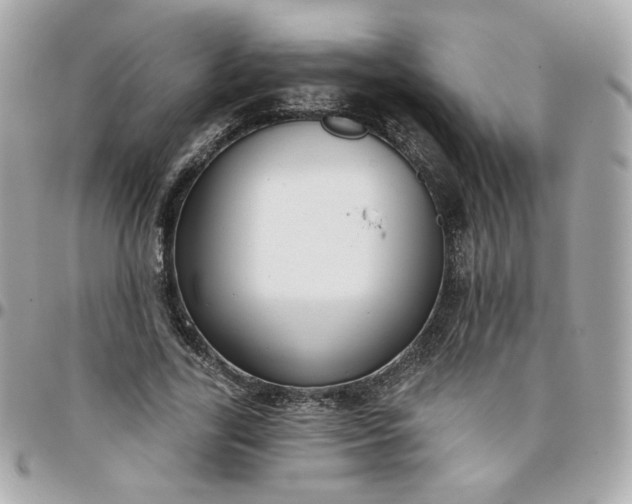 X0000096210731200802011320