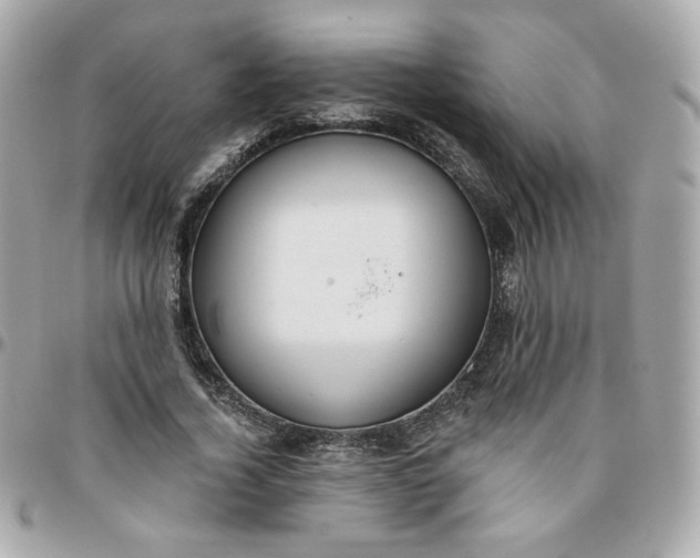 X0000096210732200802011320