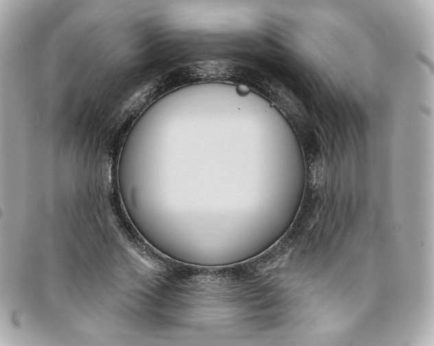 X0000096210733200802011320