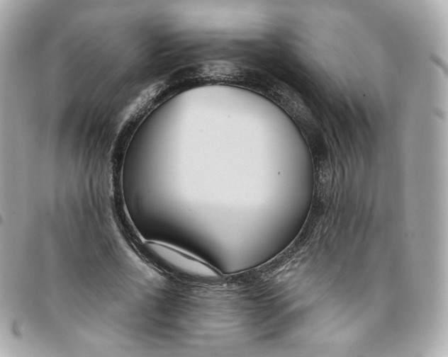 X0000096210734200802011321