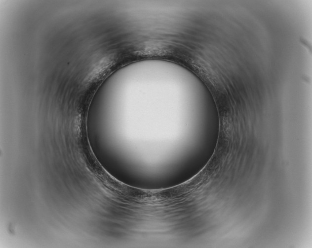 X0000096210735200802011321