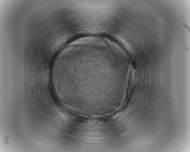 X0000096210736200802011321