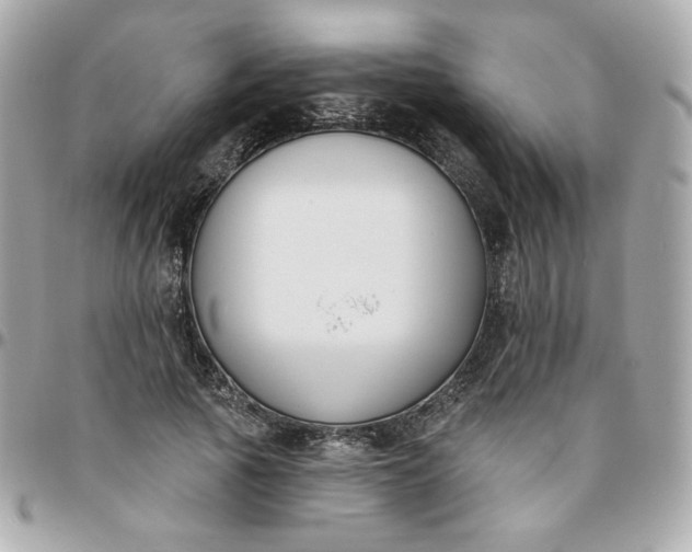 X0000096210737200802011321