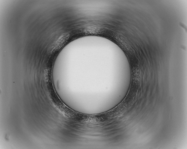 X0000096210738200802011321