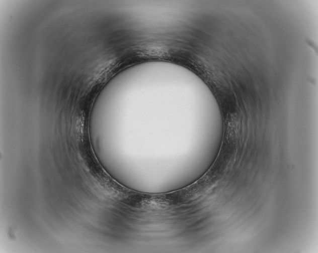 X0000096210739200802011321