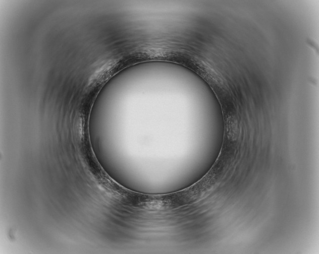 X0000096210740200802011321