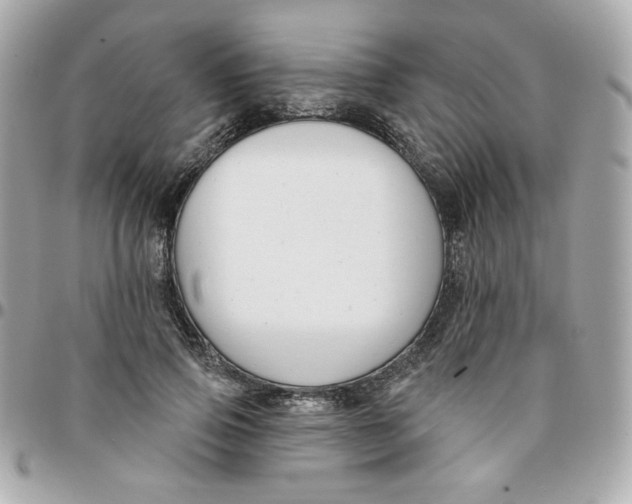 X0000096210741200802011321