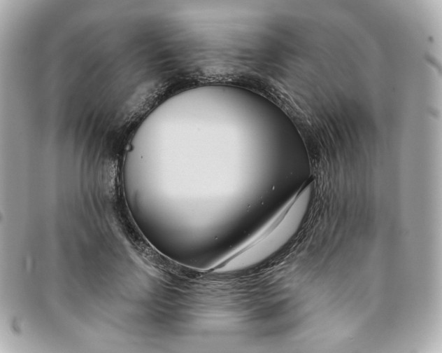 X0000096210742200802011321