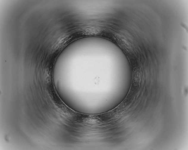 X0000096210743200802011321