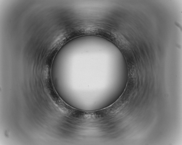 X0000096210744200802011321