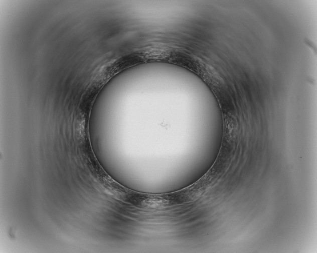 X0000096210745200802011321