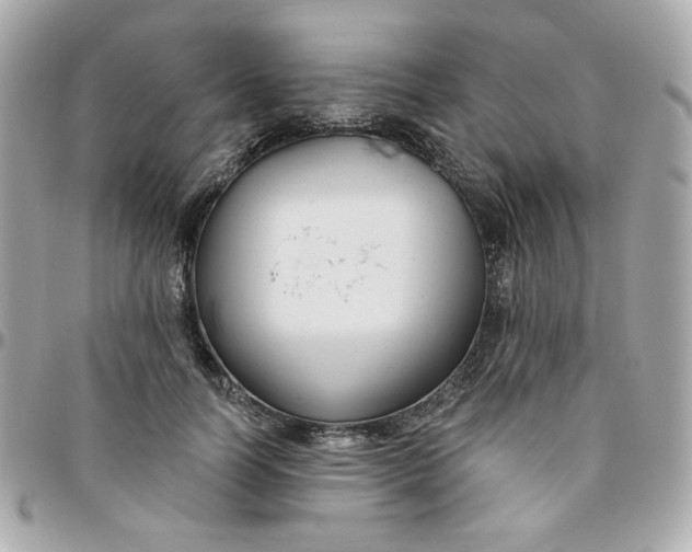 X0000096210746200802011321