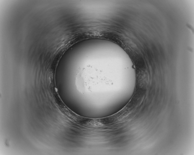 X0000096210747200802011321