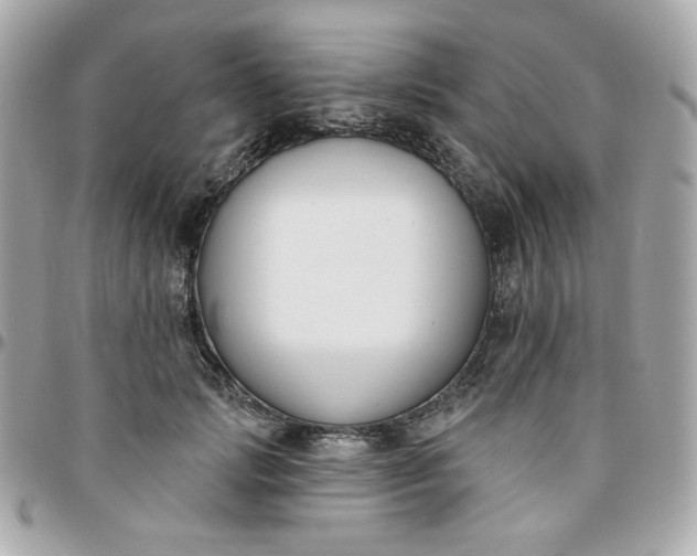 X0000096210749200802011321