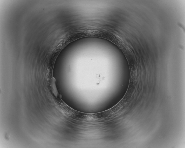 X0000096210750200802011321