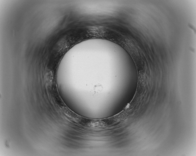 X0000096210752200802011321