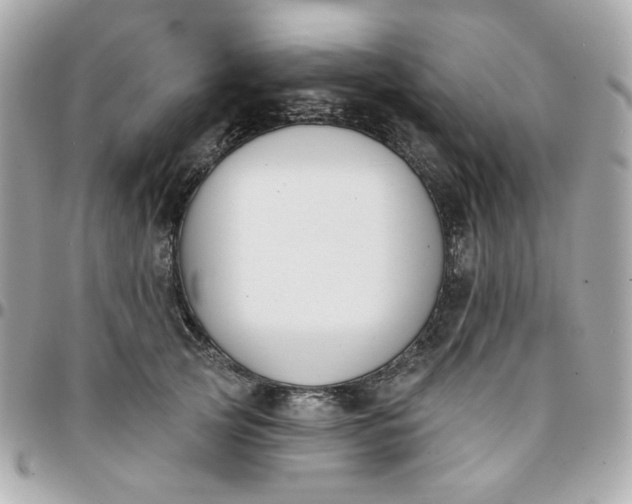 X0000096210753200802011321