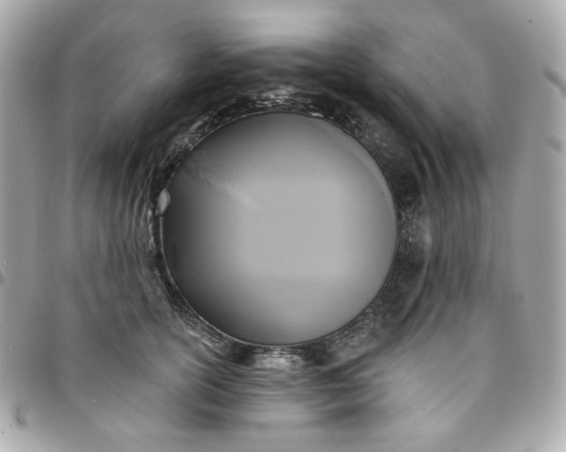 X0000096210754200802011321