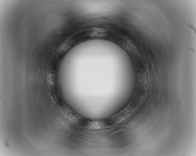 X0000096210755200802011321