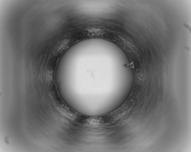 X0000096210756200802011321