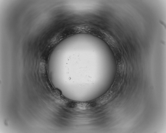 X0000096210757200802011321