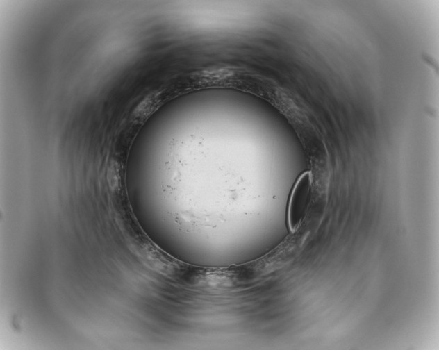 X0000096210758200802011321