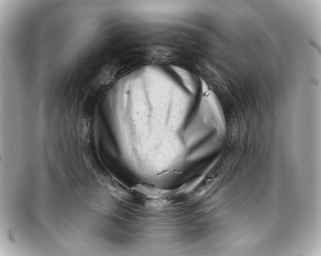 X0000096210759200802011321