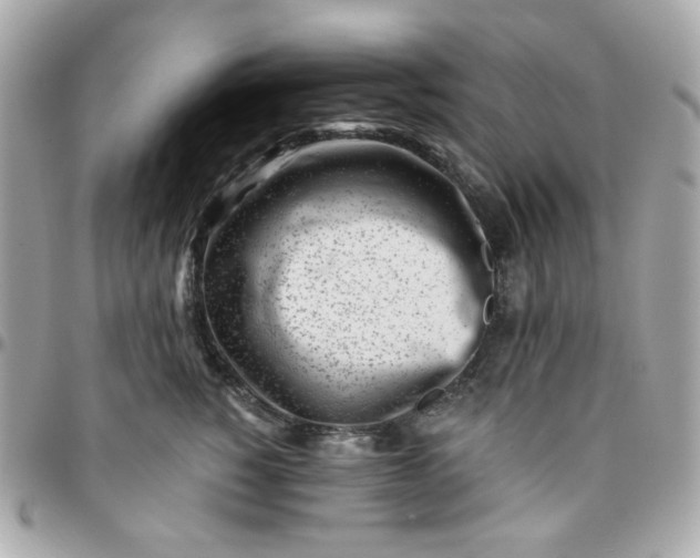 X0000096210760200802011321